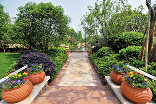 看慣了北方的生態(tài)粗線條 來感受下江南精品園林的畫風