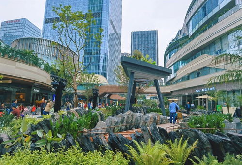 關(guān)注第十八屆重慶市市長國際經(jīng)濟顧問團會議 重慶打造內(nèi)陸開放綜合樞紐 市長顧問團企業(yè)如何助力