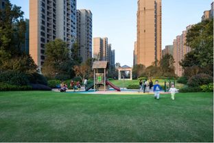 新力鈺瓏灣 金盤網(wǎng)