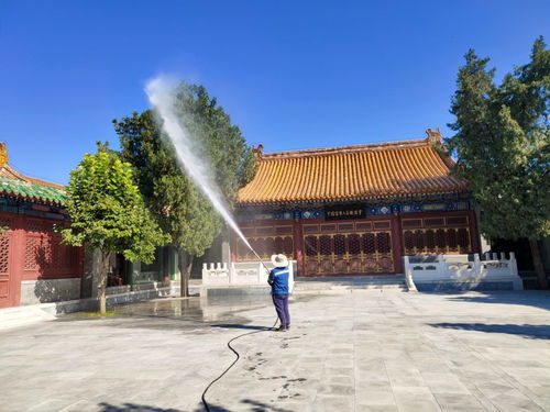 2021歡迎訪問 園林噴藥車出租針對各種樹木 實(shí)業(yè)集團(tuán)