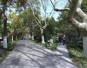 人民公園南拓景觀綠化工程 提速推進建設 打造園林精品