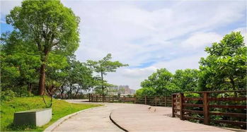 龍崗半年治水成績單出爐,你還滿意嗎