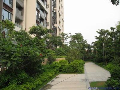 供應廣州綠化公司華美霖東莞圣旗時裝綠化工程圖片,供應廣州綠化公司華美霖東莞圣旗時裝綠化工程圖片大全,廣東華美霖園林實業-