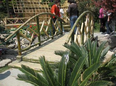 綠化工程_綠化工程供貨商_供應(yīng)綠化工程領(lǐng)先企業(yè)-上海綠化工程首選哪家公司_綠化工程價格_上海康馨園林(晨蘇實業(yè))